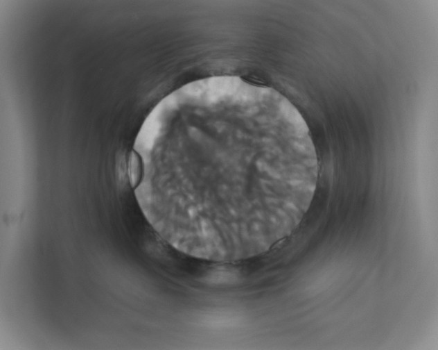 X0000111820335200908201136