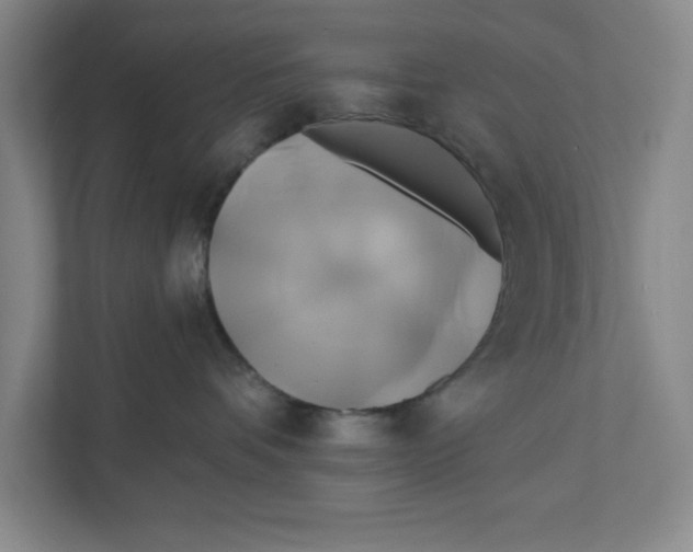 X0000111820336200908201136