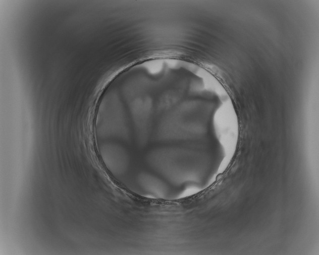 X0000111820337200908201135