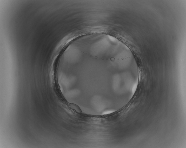 X0000111820339200908201135