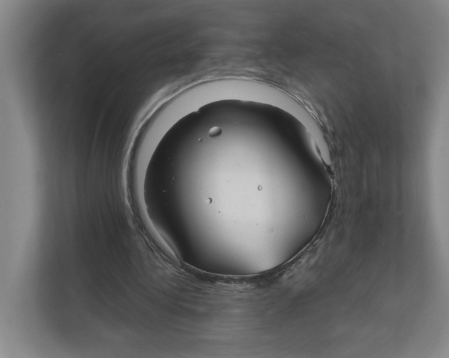 X0000111820340200908201135