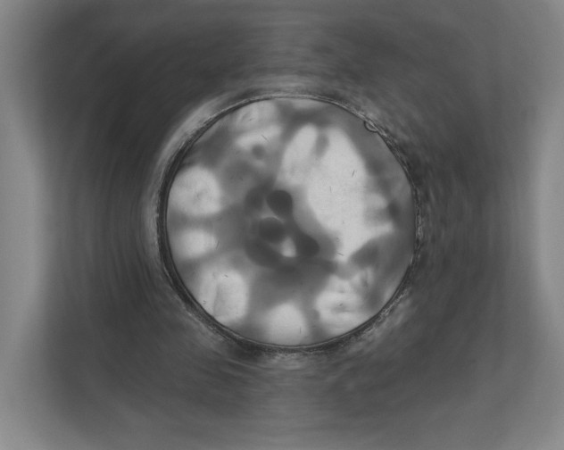 X0000111820341200908201135