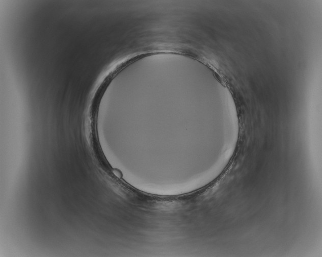X0000111820342200908201135