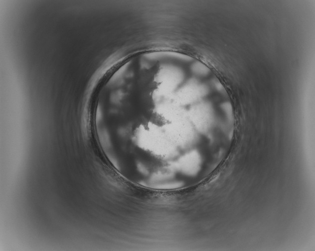 X0000111820343200908201135