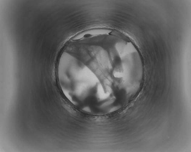 X0000111820345200908201135