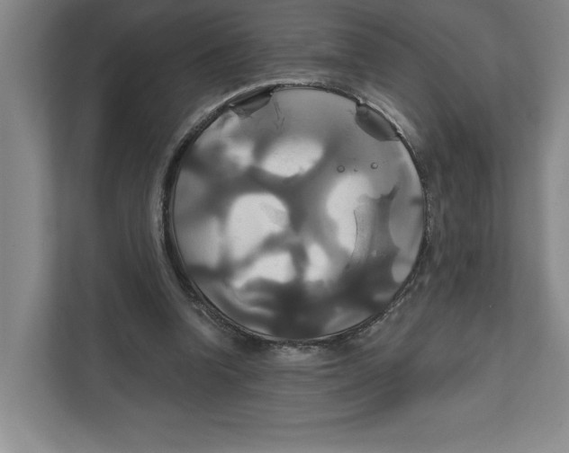 X0000111820346200908201135