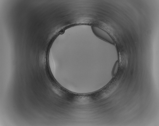X0000111820348200908201135