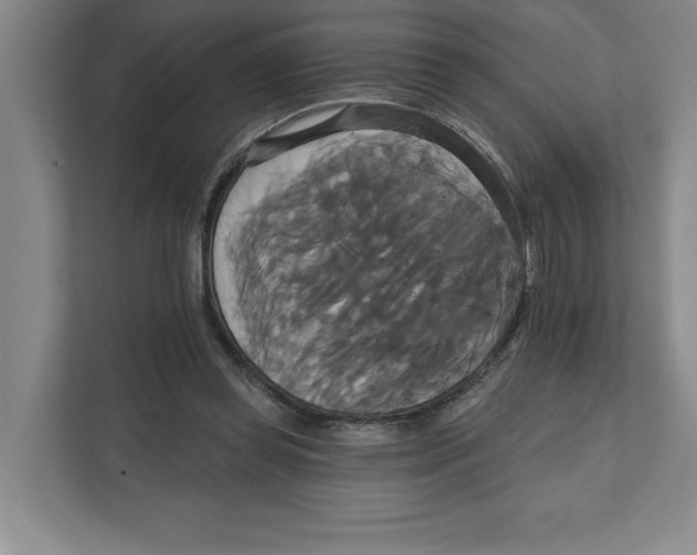 X0000111820349200908201135