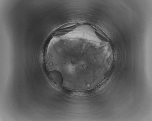 X0000111820351200908201135