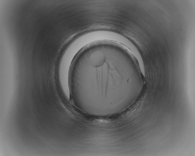 X0000111820352200908201135