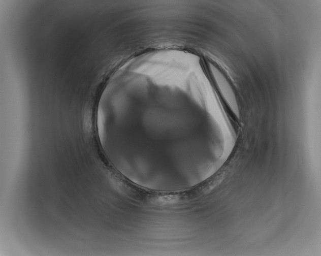 X0000111820353200908201135