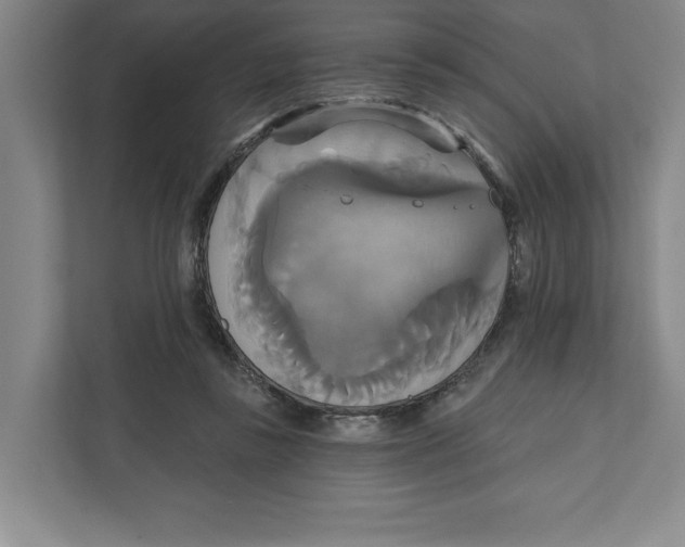 X0000111820355200908201135