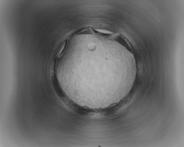 X0000111820356200908201135