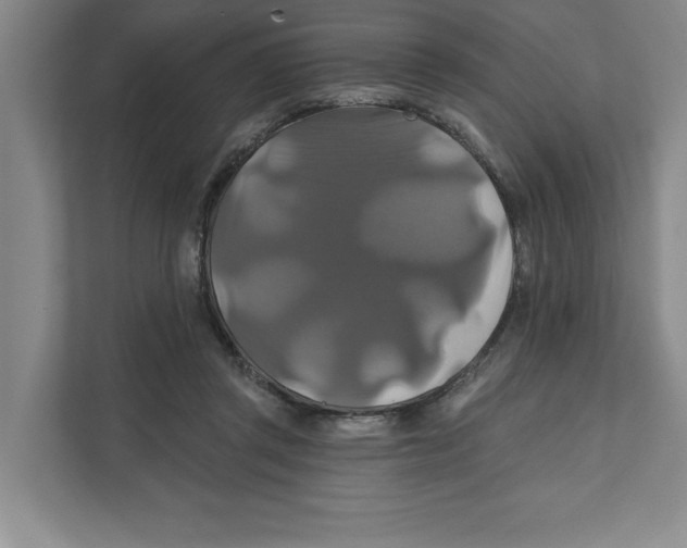 X0000111820357200908201135