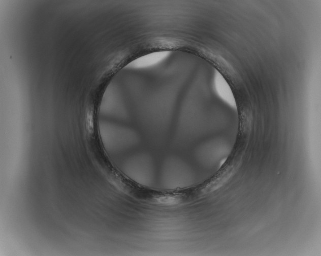 X0000111820358200908201135