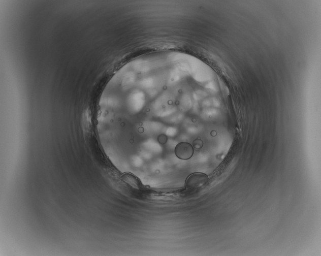 X0000111820359200908201135