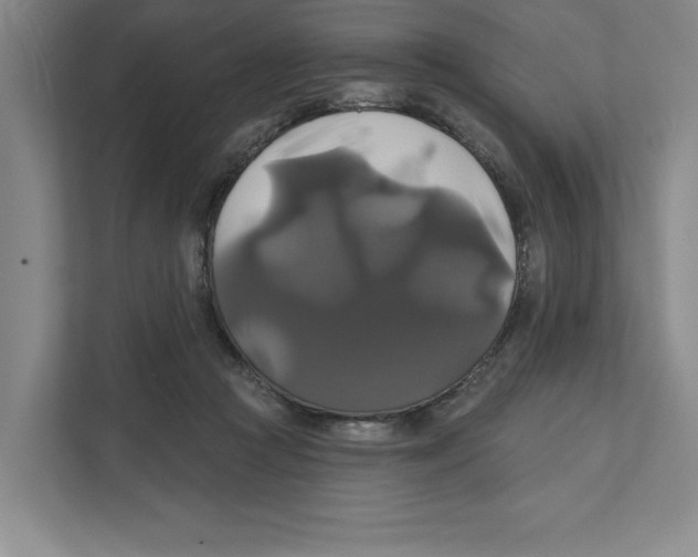 X0000111820361200908201135
