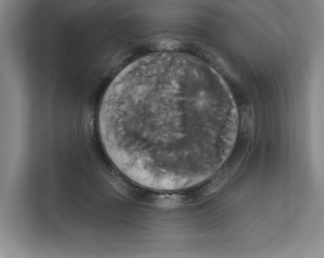 X0000111820363200908201135
