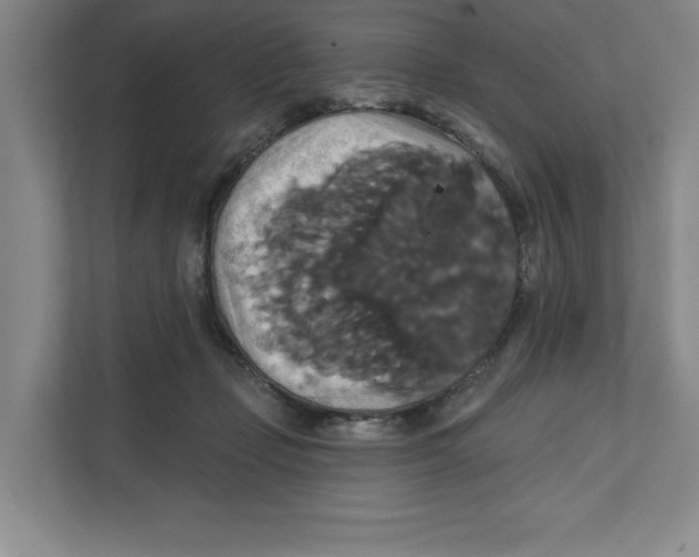 X0000111820365200908201135