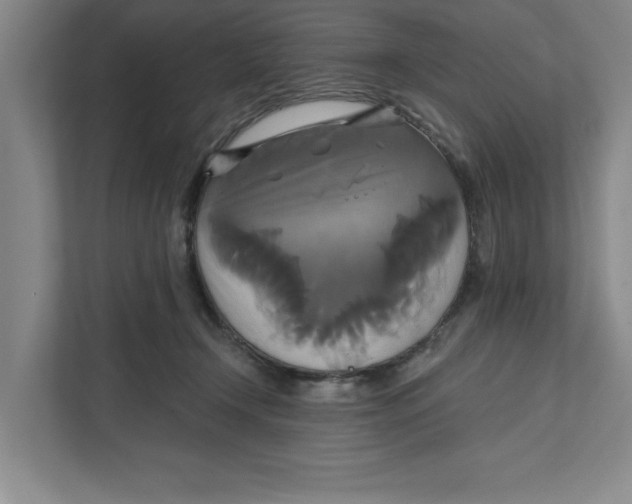 X0000111820366200908201135