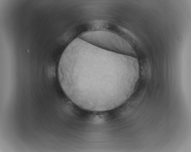 X0000111820368200908201135