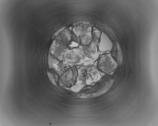 X0000111820369200908201135