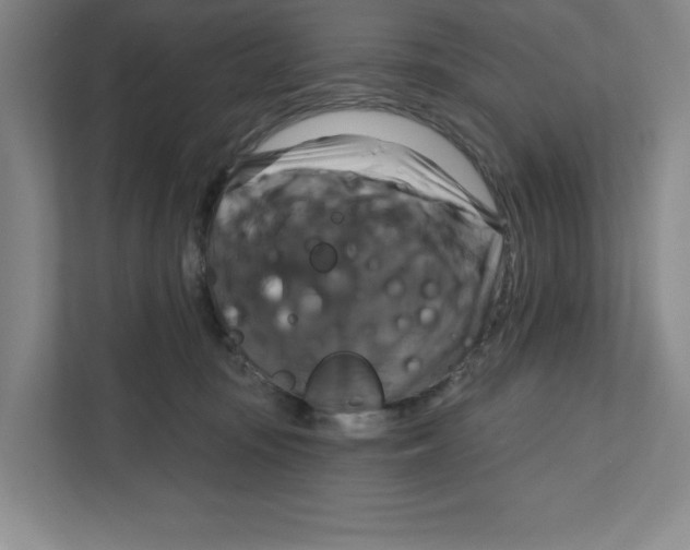 X0000111820371200908201135