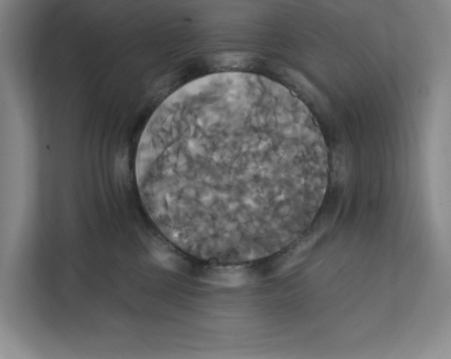 X0000111820377200908201135