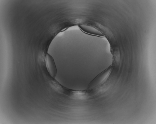 X0000111820380200908201135