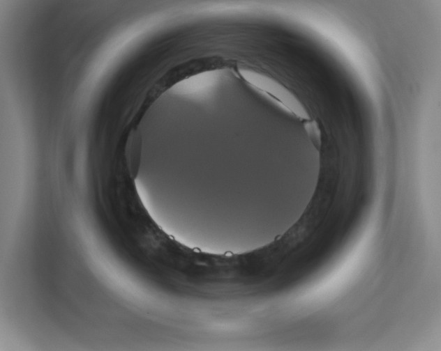 X0000111820382200908201135