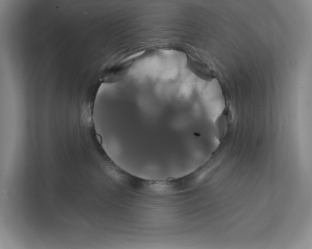 X0000111820383200908201136
