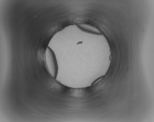 X0000111820384200908201136