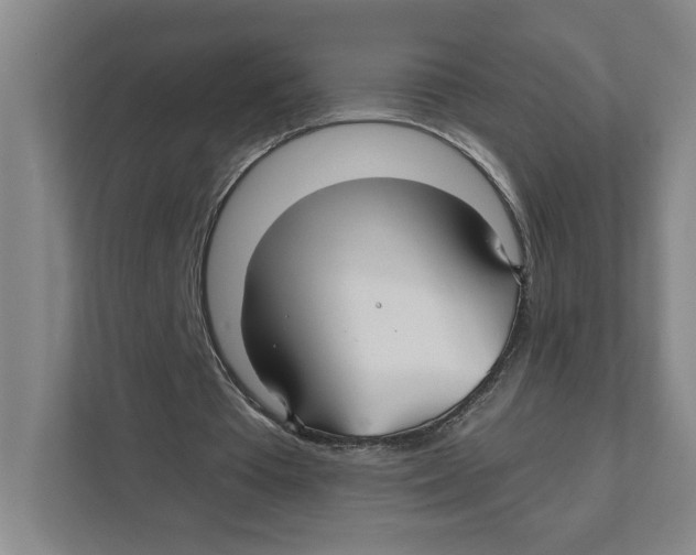 X0000111820385200908201135