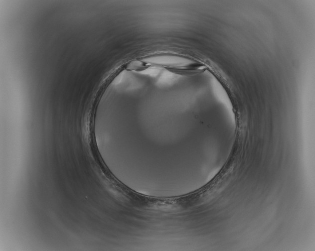 X0000111820386200908201135