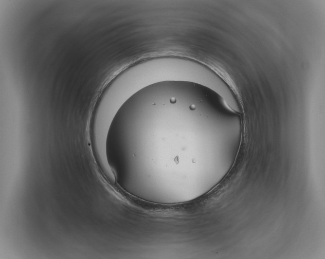 X0000111820389200908201135