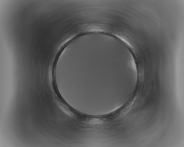 X0000111820390200908201135