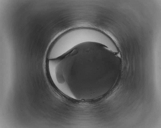 X0000111820391200908201135