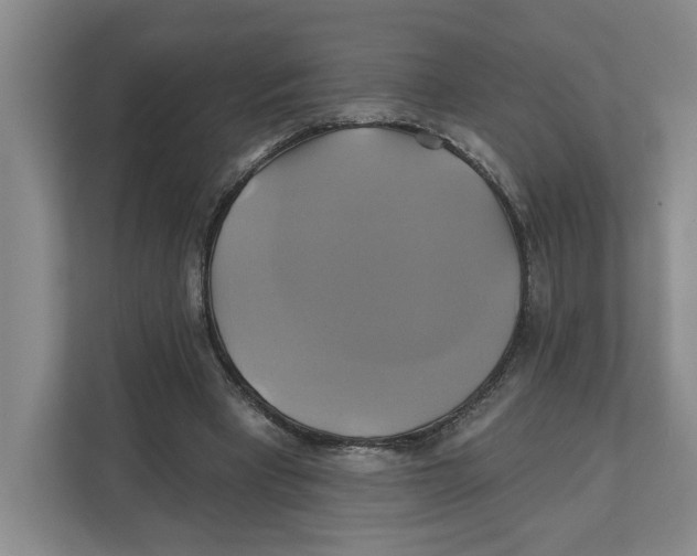 X0000111820393200908201135