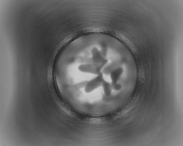 X0000111820394200908201135