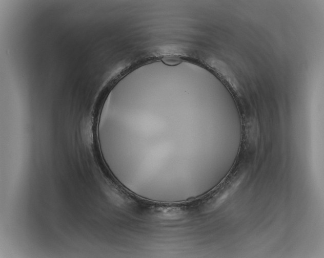 X0000111820395200908201135