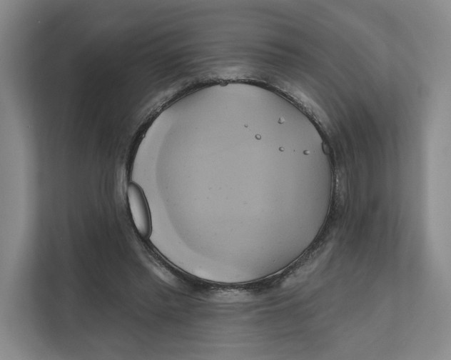 X0000111820397200908201135