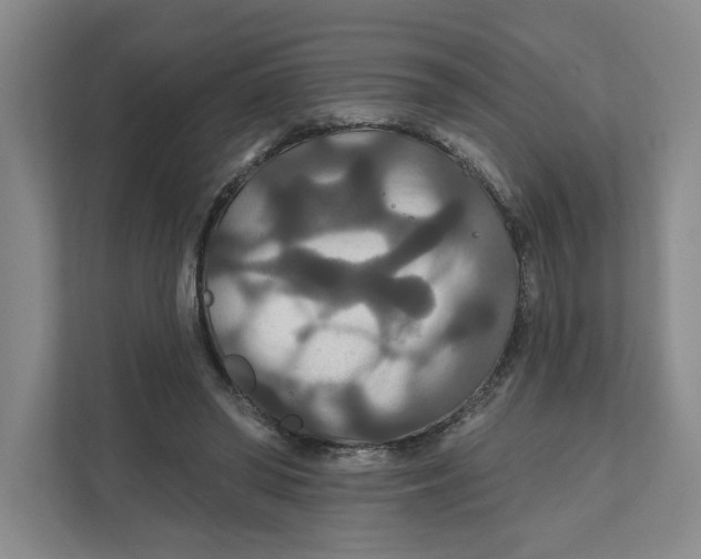 X0000111820398200908201135
