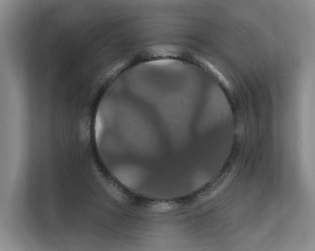 X0000111820402200908201135
