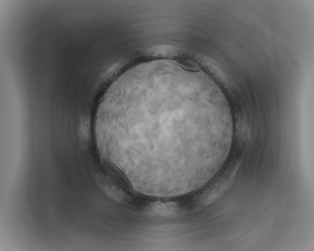 X0000111820403200908201135