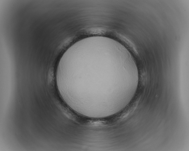 X0000111820407200908201135