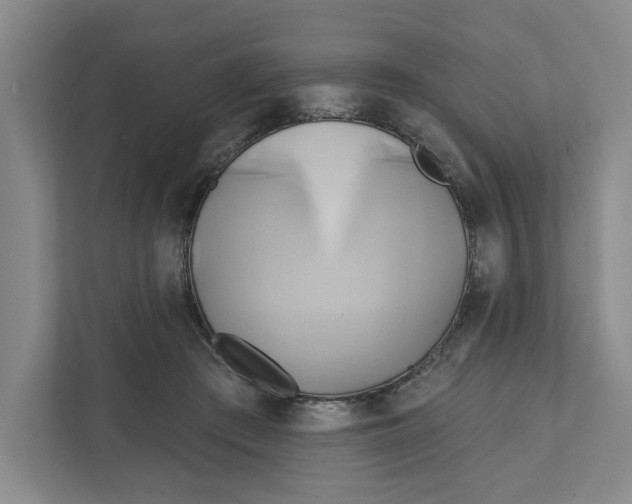 X0000111820409200908201135