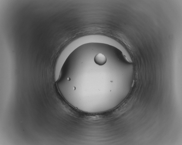X0000111820411200908201135