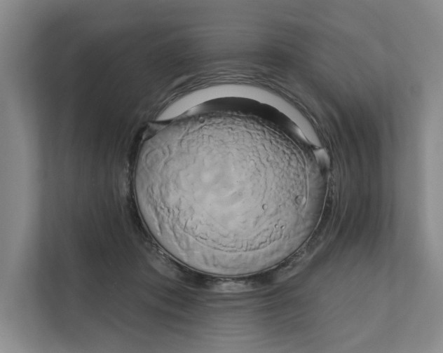 X0000111820413200908201135