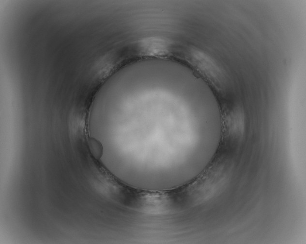 X0000111820415200908201134