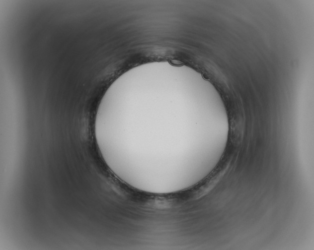 X0000111820416200908201134
